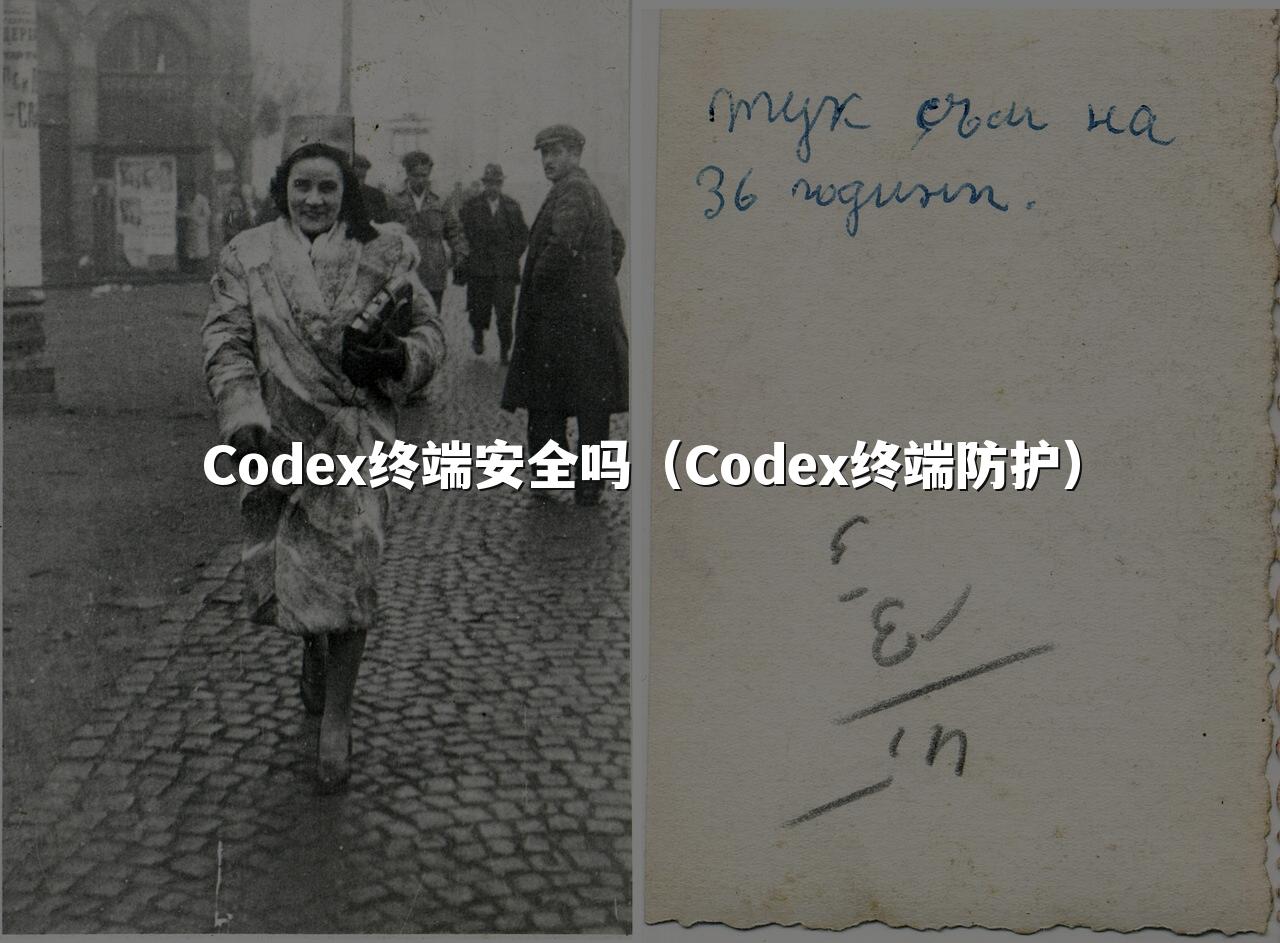 Codex终端安全吗(Codex终端防护)