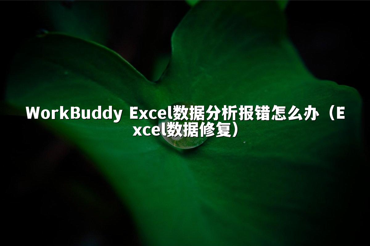 WorkBuddy Excel数据分析报错怎么办（Excel数据修复）