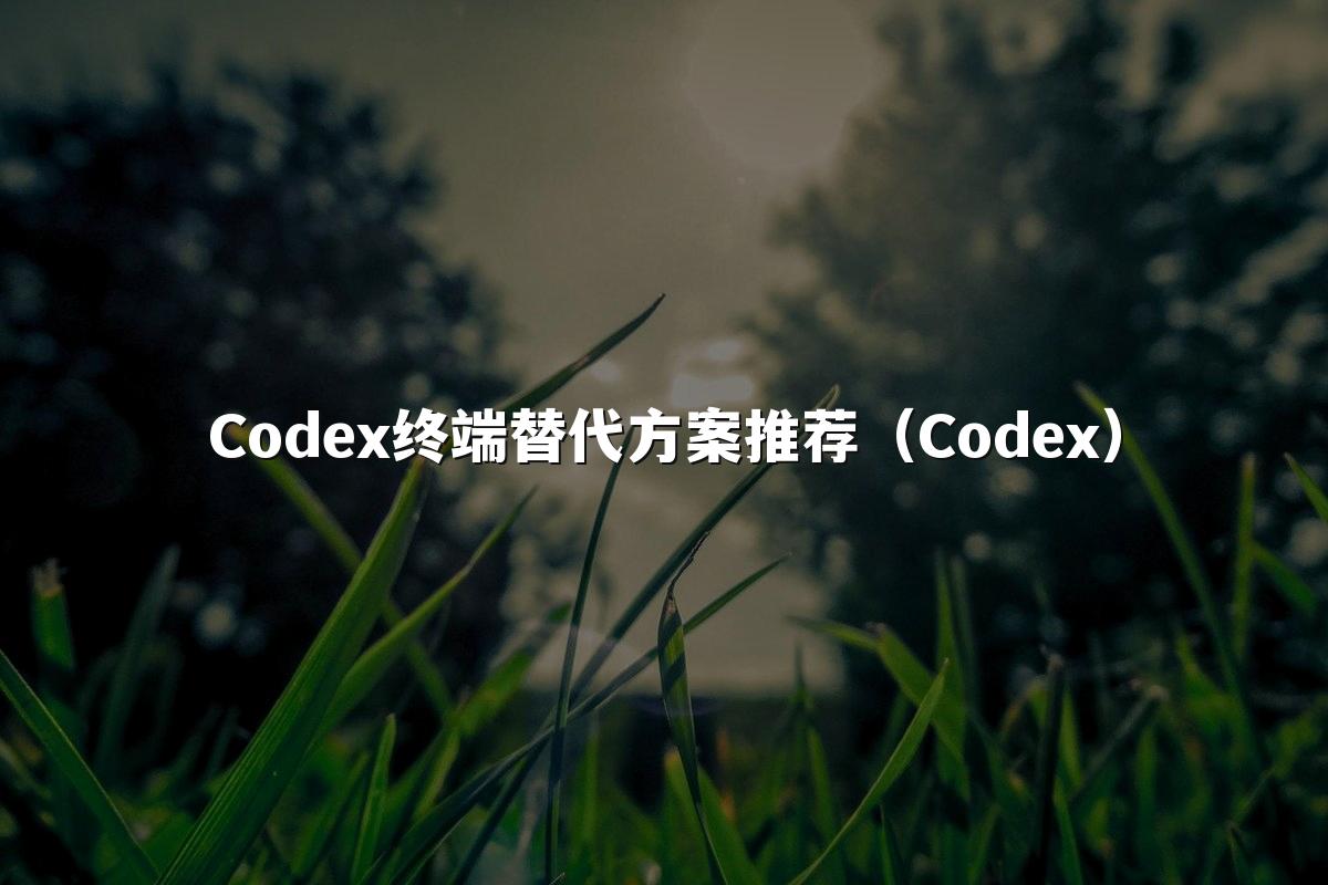 Codex终端替代方案推荐(Codex)