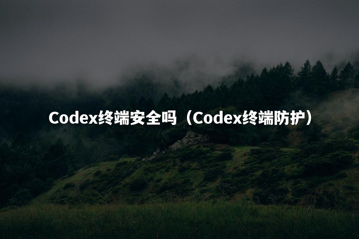 Codex终端安全吗(Codex终端防护)