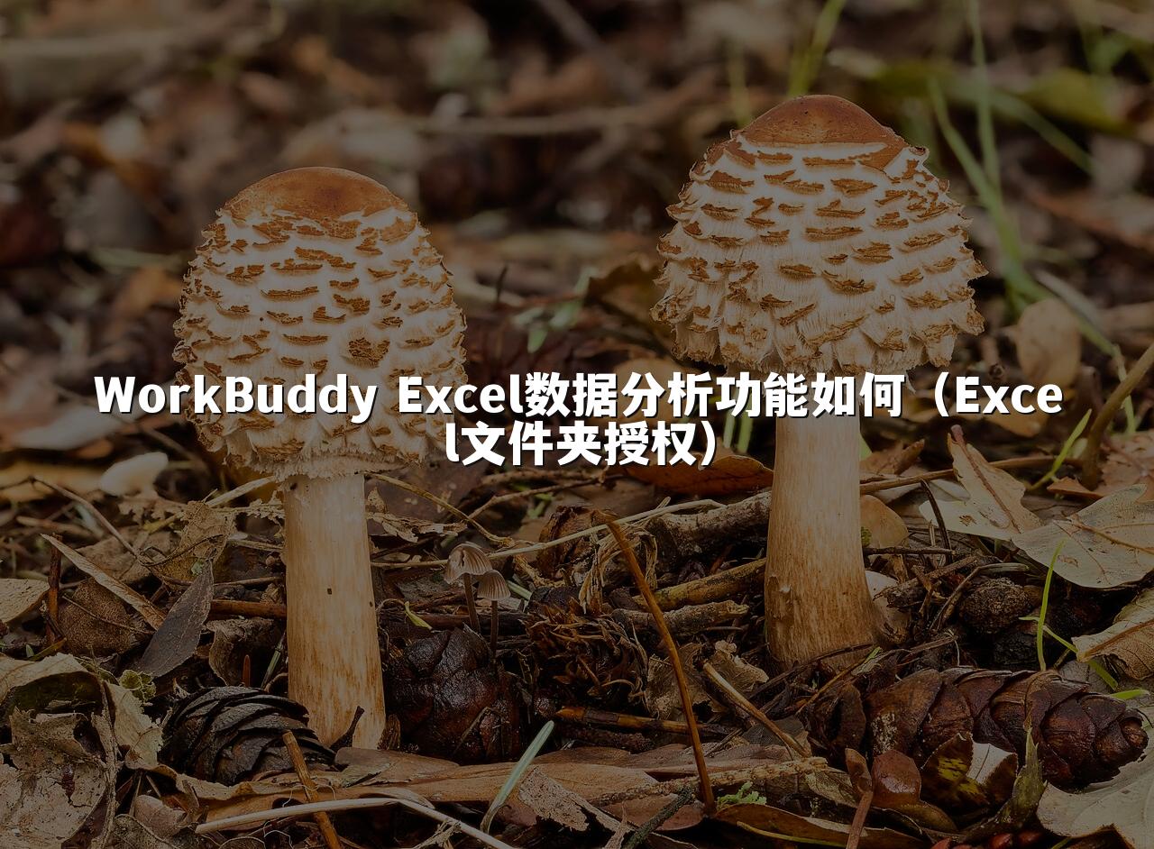 WorkBuddy Excel数据分析功能如何（Excel文件夹授权）