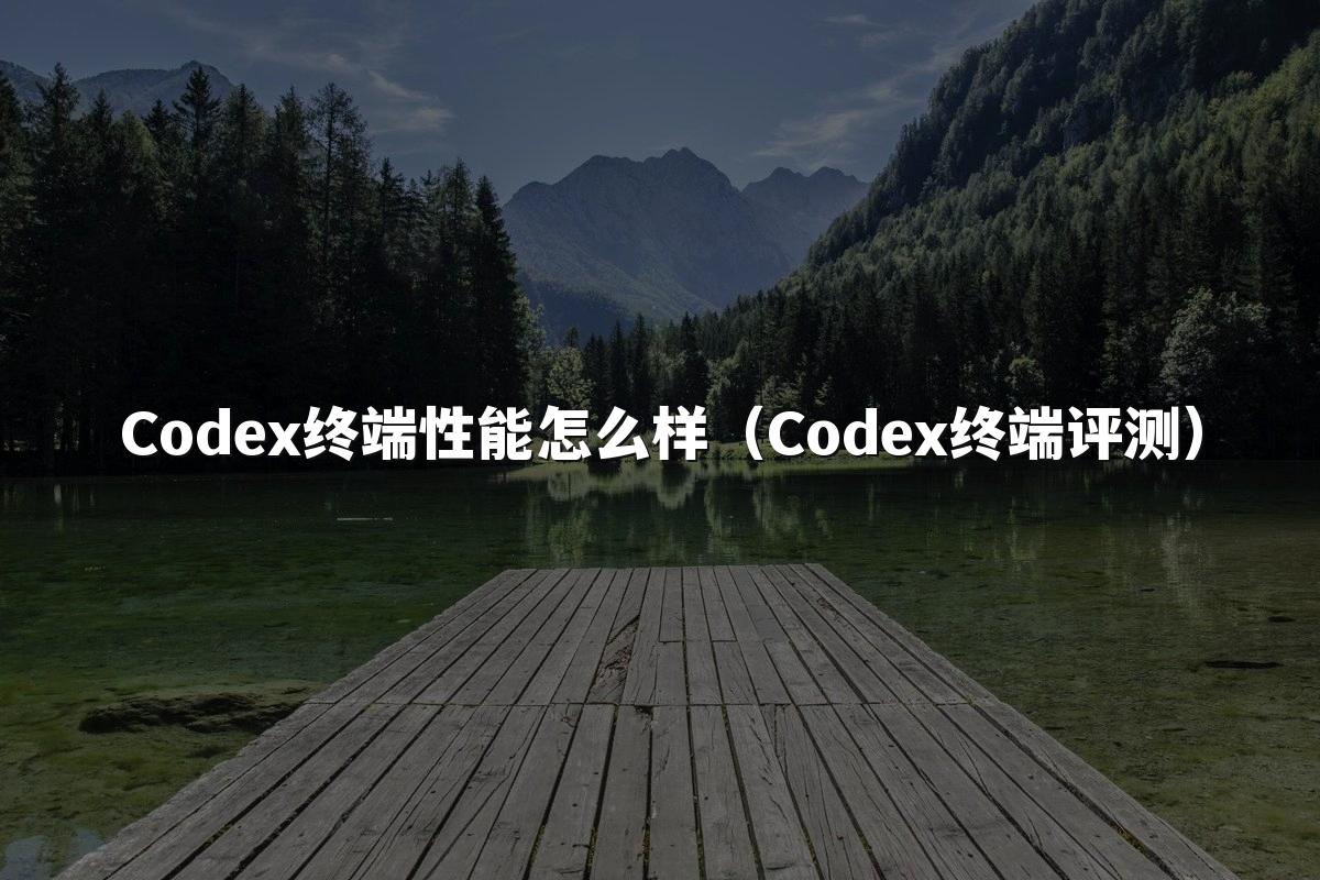 Codex终端性能怎么样（Codex终端评测）
