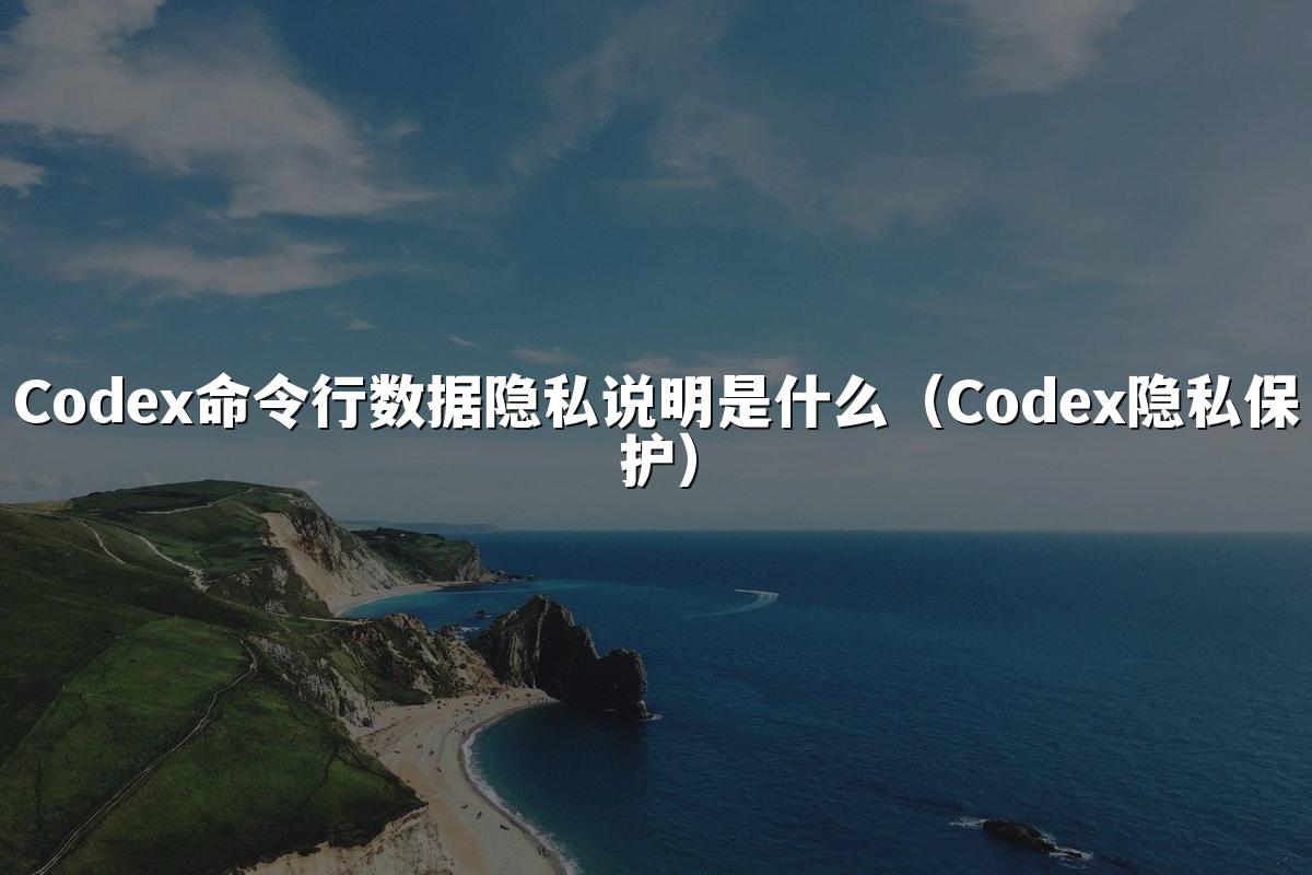 Codex命令行数据隐私说明是什么（Codex隐私保护）