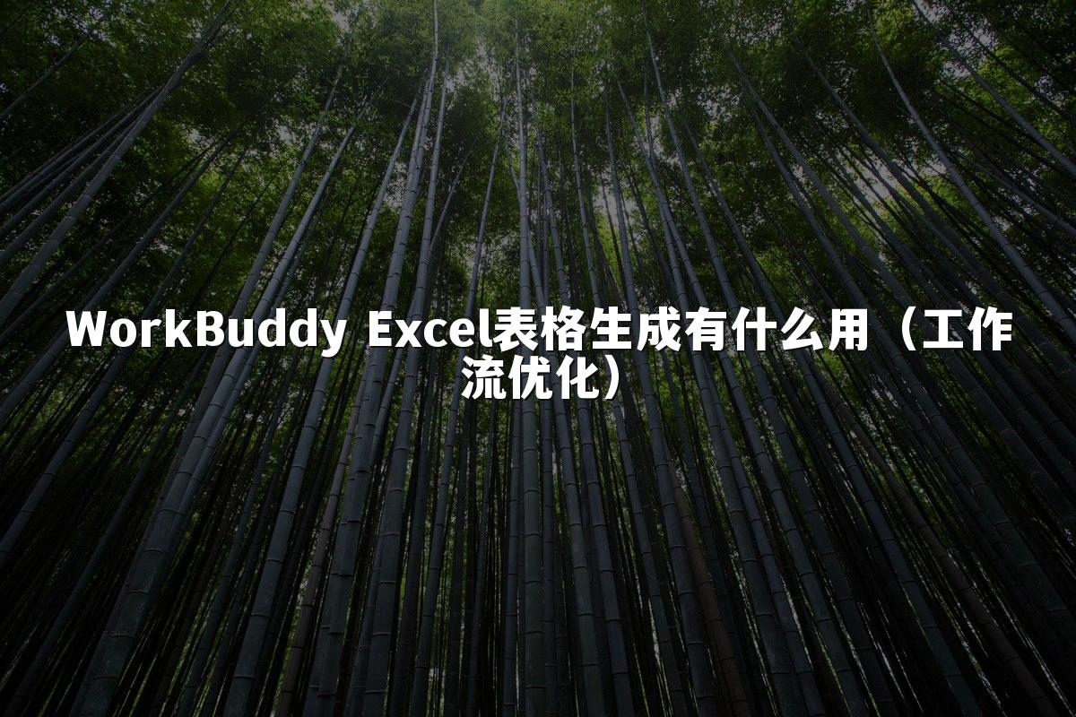 WorkBuddy Excel表格生成有什么用(工作流优化)