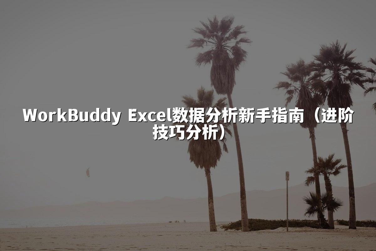 WorkBuddy Excel数据分析新手指南(进阶技巧分析)