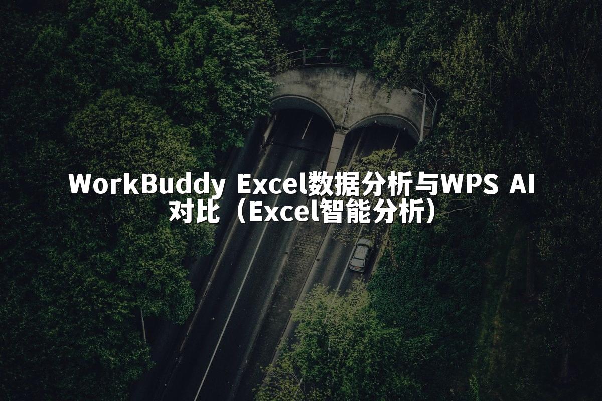 WorkBuddy Excel数据分析与WPS AI对比(Excel智能分析)