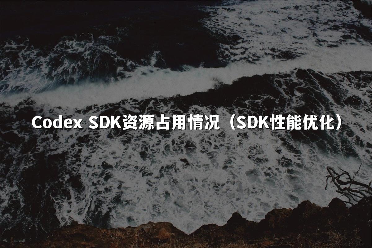 Codex SDK资源占用情况(SDK性能优化)