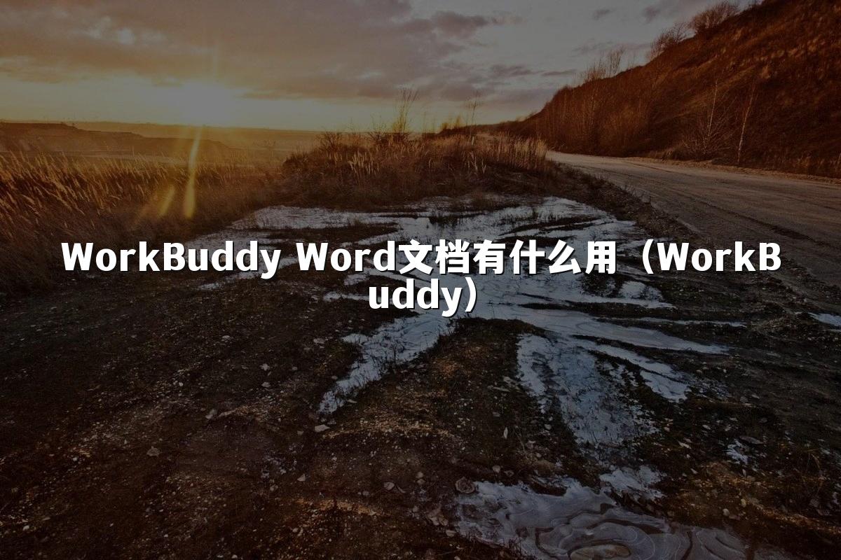 WorkBuddy Word文档有什么用(WorkBuddy)