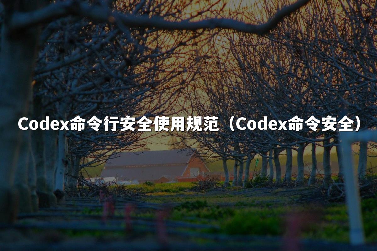 Codex命令行安全使用规范（Codex命令安全）