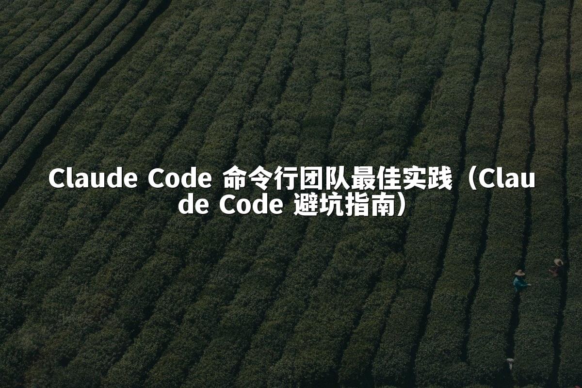 Claude Code 命令行团队最佳实践（Claude Code 避坑指南）
