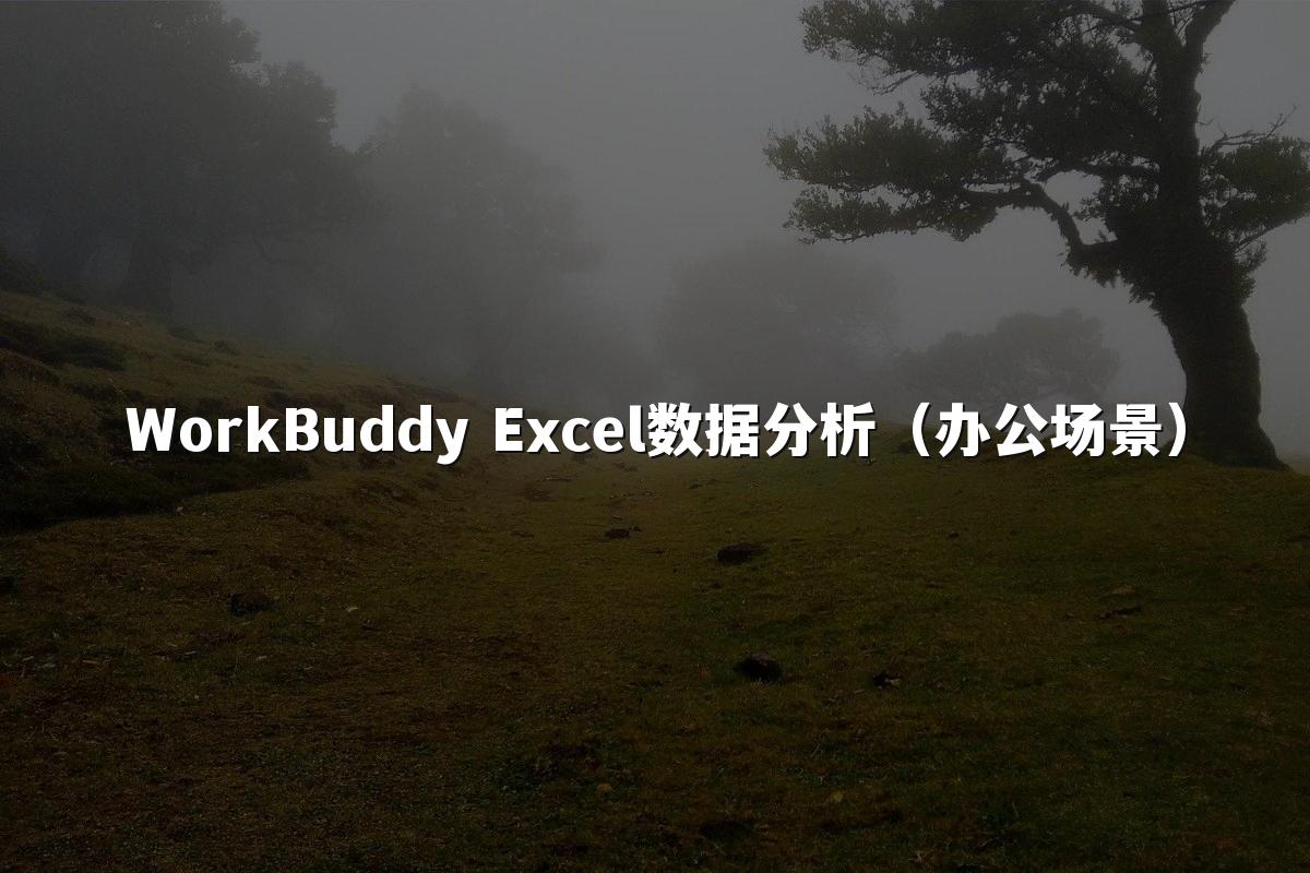 WorkBuddy Excel数据分析（办公场景）