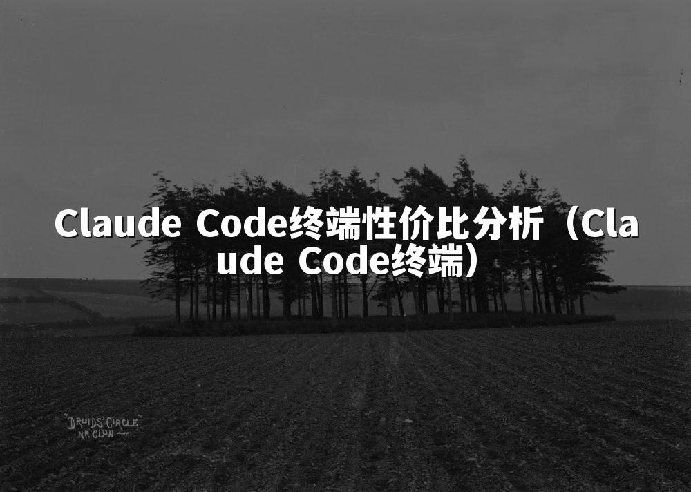 Claude Code终端性价比分析（Claude Code终端）