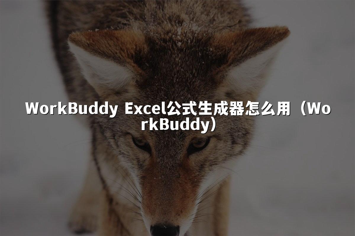 WorkBuddy Excel公式生成器怎么用(WorkBuddy)