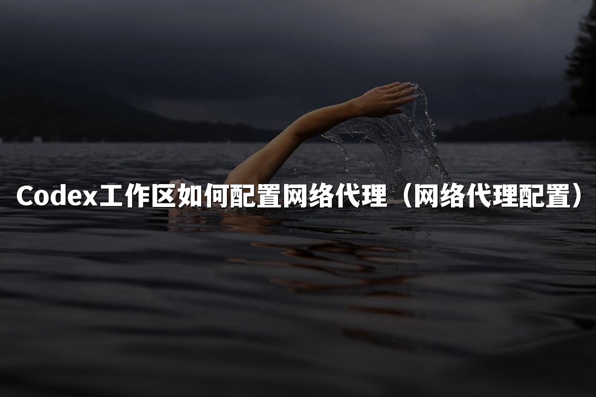 Codex工作区如何配置网络代理（网络代理配置）
