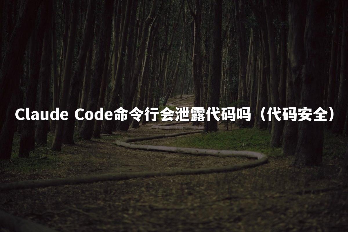 Claude Code命令行会泄露代码吗（代码安全）