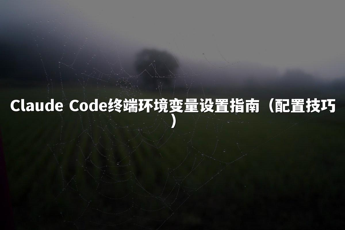 Claude Code终端环境变量设置指南（配置技巧）