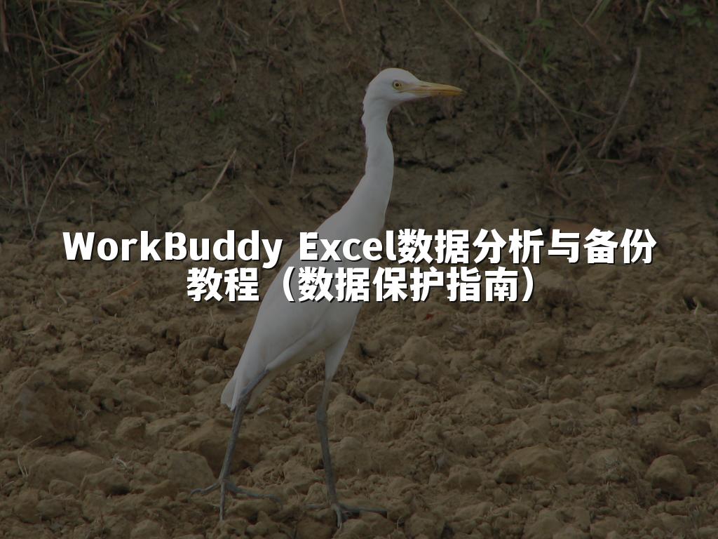 WorkBuddy Excel数据分析与备份教程（数据保护指南）