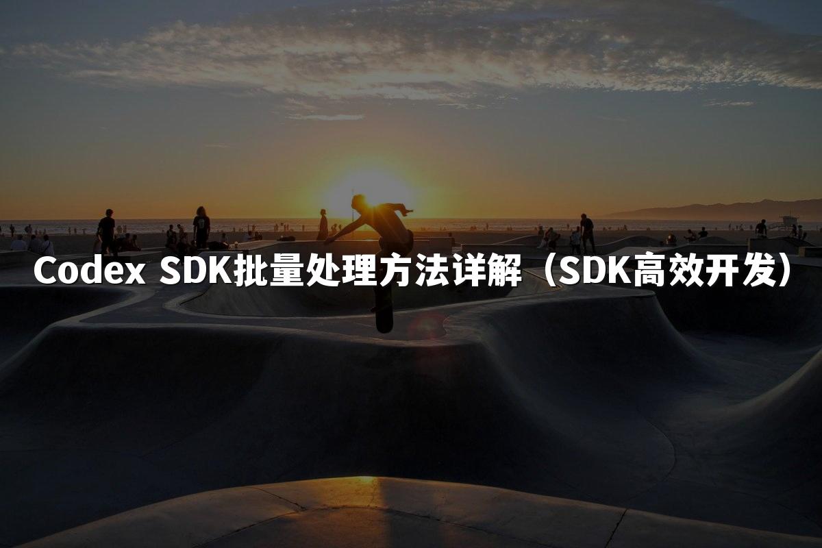 Codex SDK批量处理方法详解（SDK高效开发）