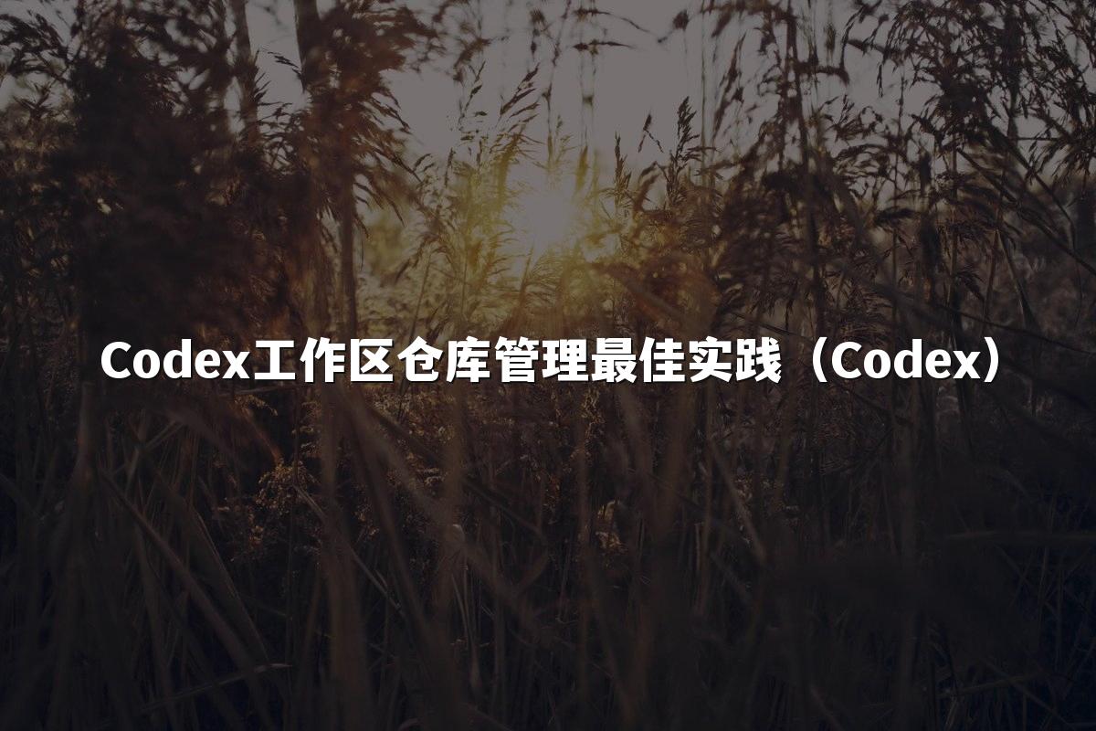 Codex工作区仓库管理最佳实践（Codex）
