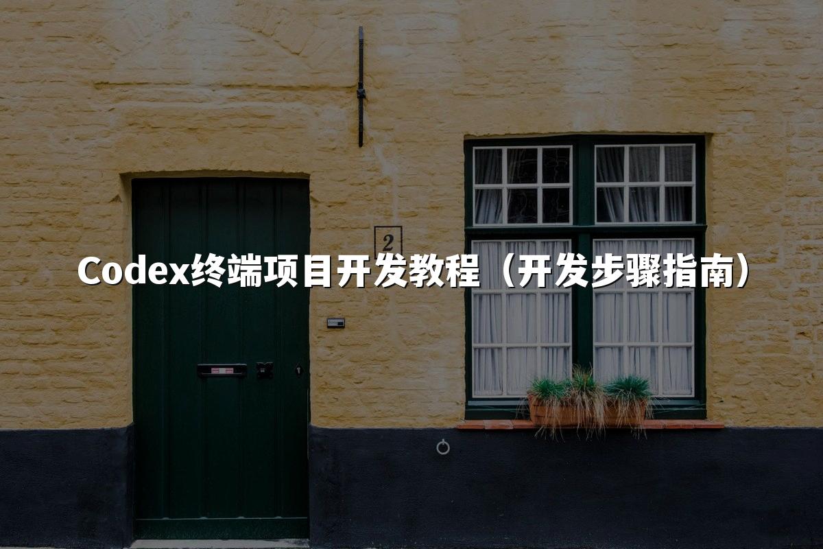 Codex终端项目开发教程(开发步骤指南)