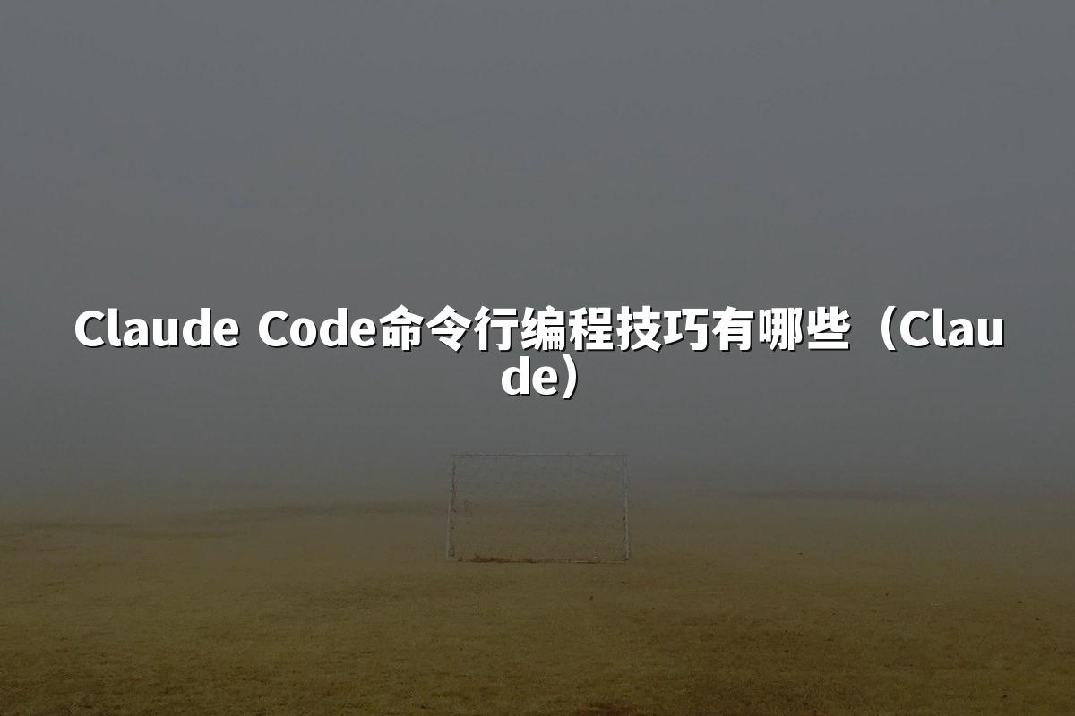 Claude Code命令行编程技巧有哪些（Claude）
