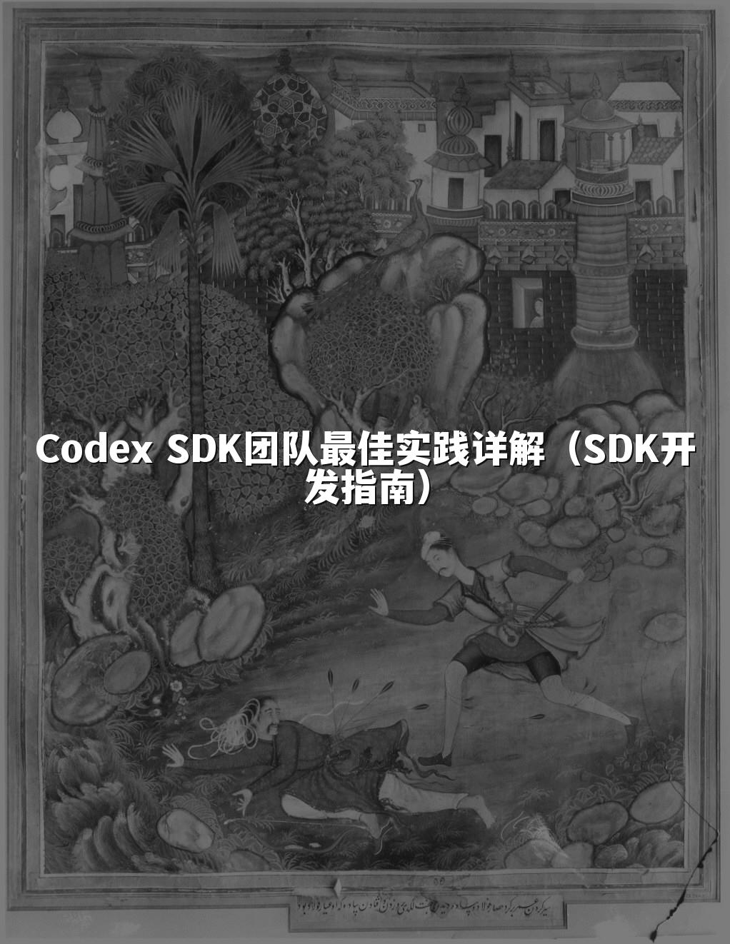 Codex SDK团队最佳实践详解（SDK开发指南）