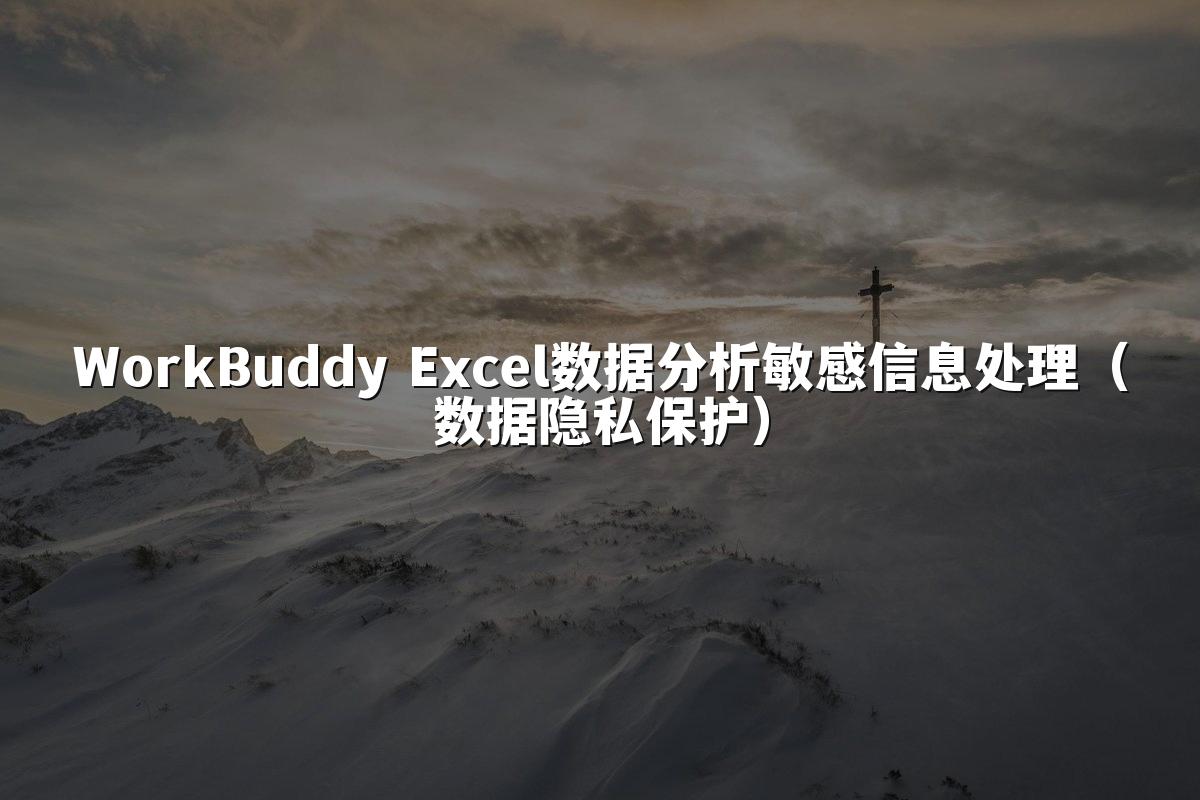 WorkBuddy Excel数据分析敏感信息处理（数据隐私保护）