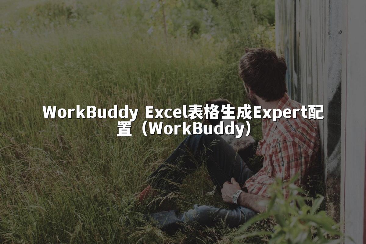 WorkBuddy Excel表格生成Expert配置(WorkBuddy)