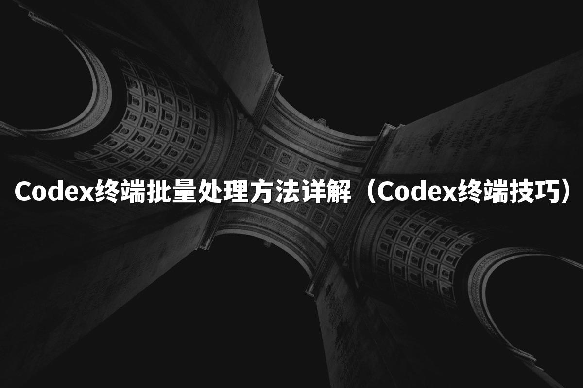 Codex终端批量处理方法详解（Codex终端技巧）
