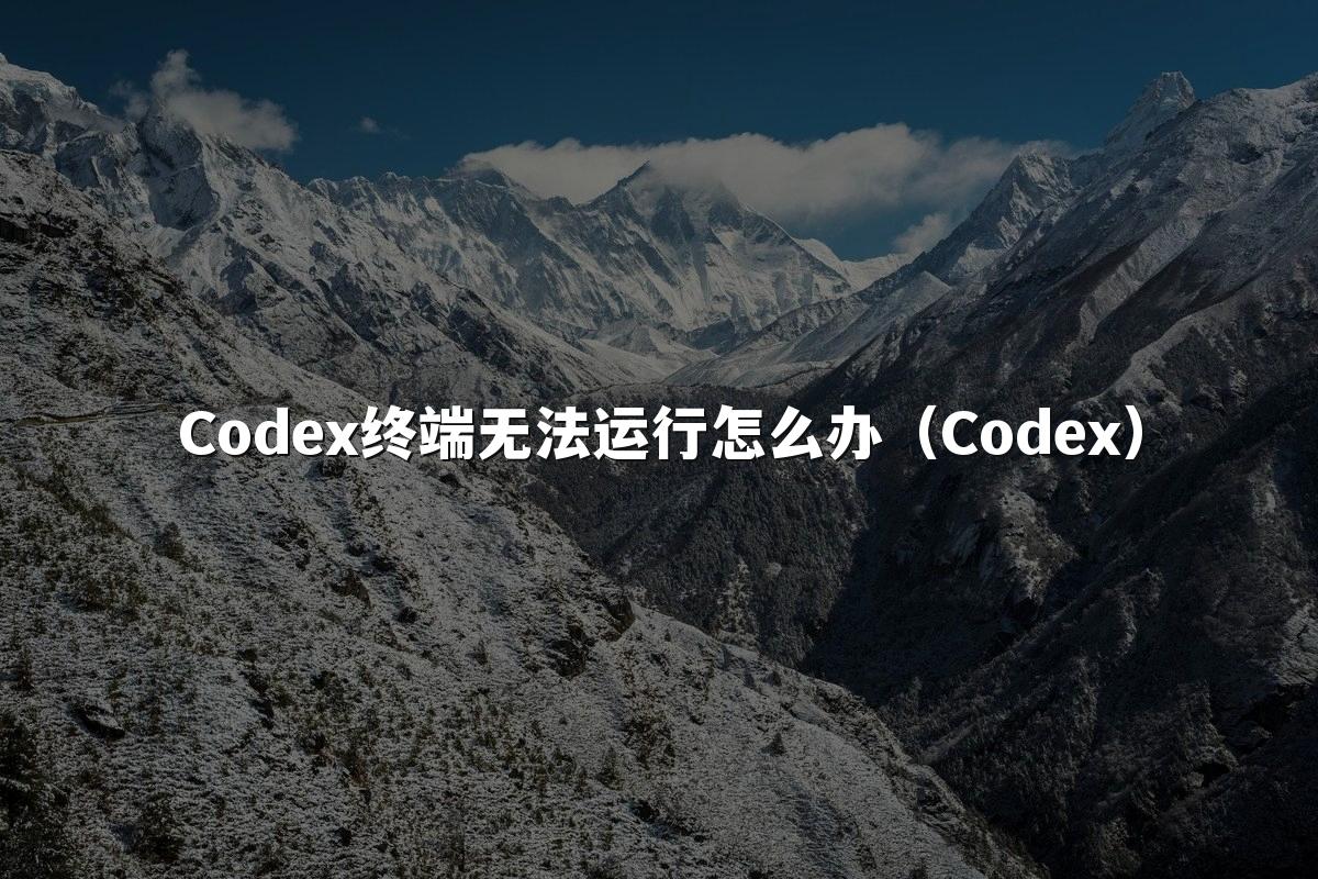 Codex终端无法运行怎么办（Codex）