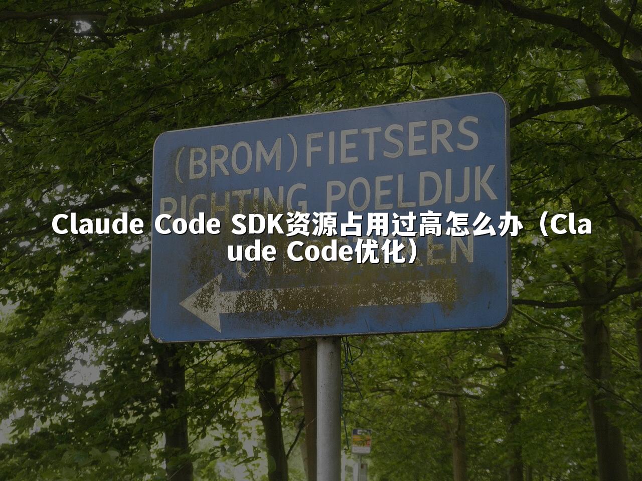 Claude Code SDK资源占用过高怎么办（Claude Code优化）