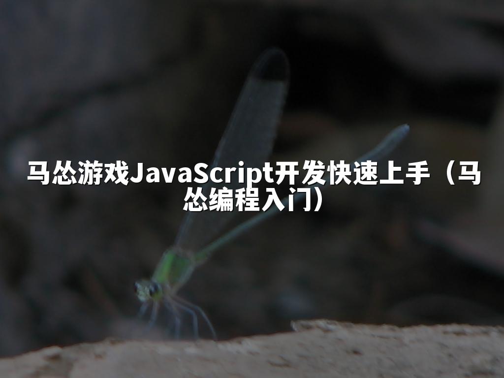 马怂游戏JavaScript开发快速上手（马怂编程入门）