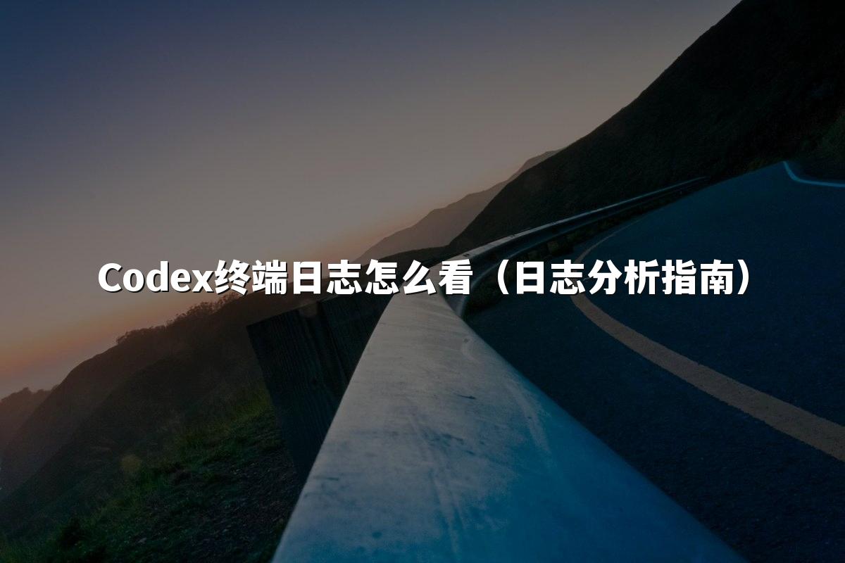 Codex终端日志怎么看(日志分析指南)