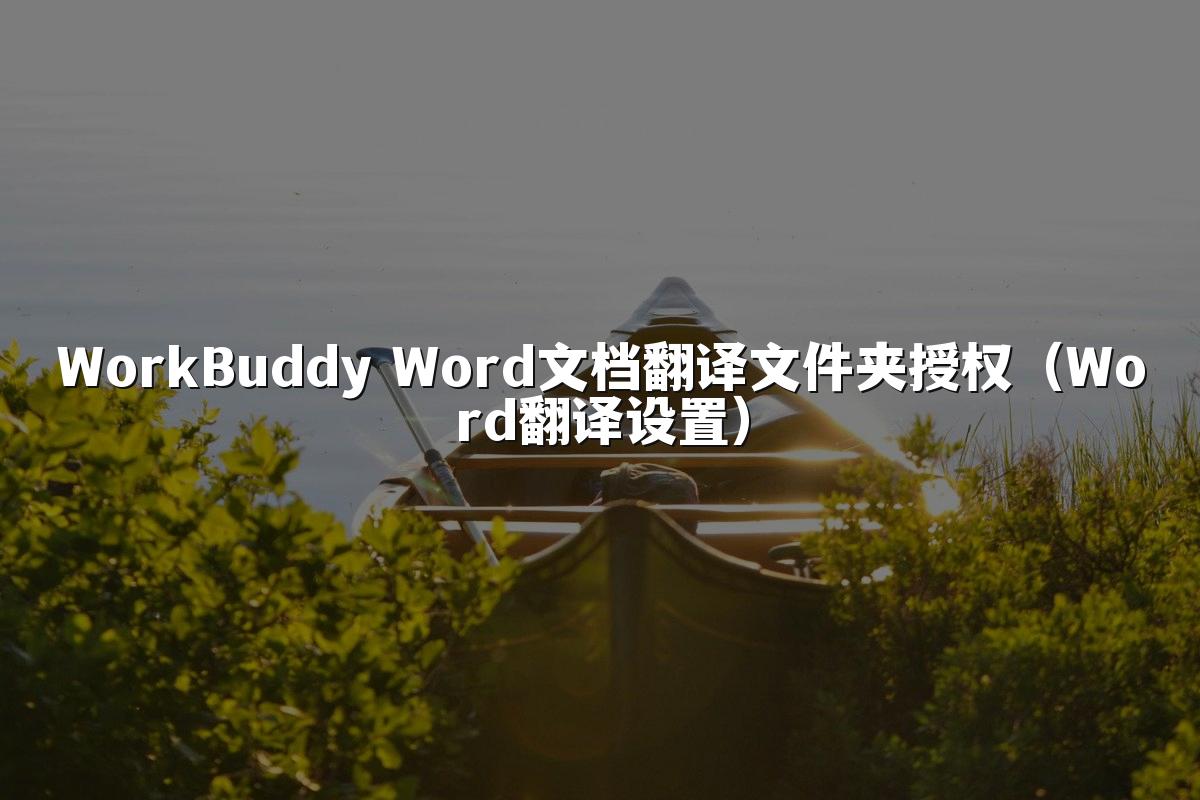 WorkBuddy Word文档翻译文件夹授权(Word翻译设置)