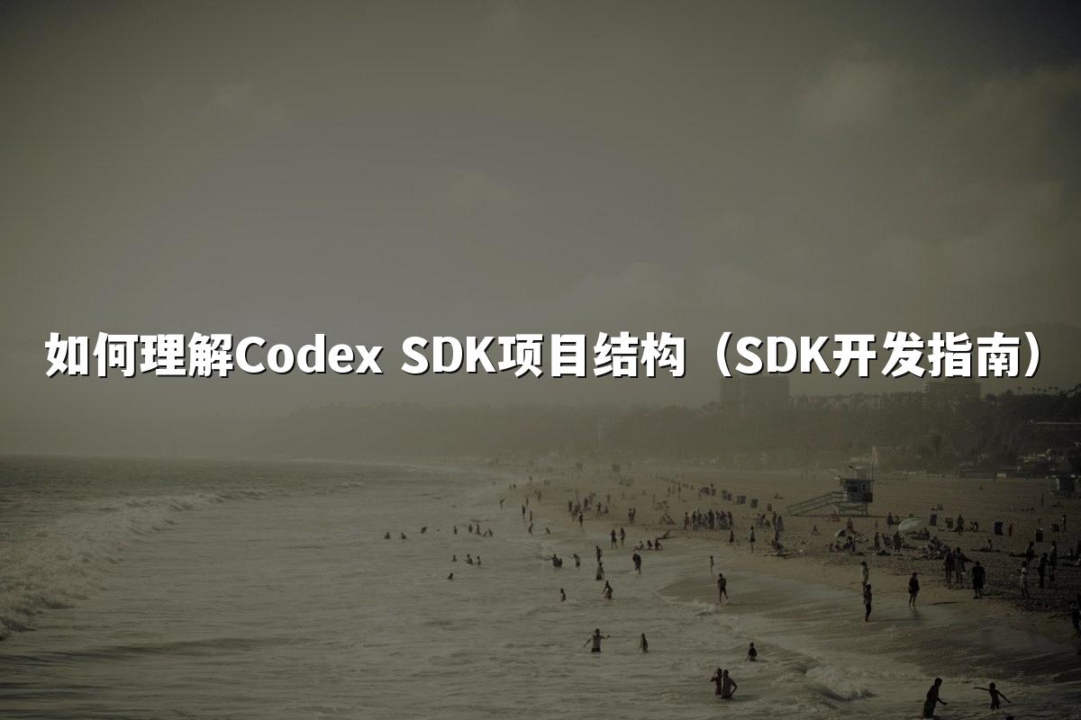 如何理解Codex SDK项目结构（SDK开发指南）