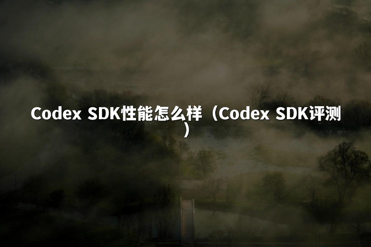Codex SDK性能怎么样(Codex SDK评测)