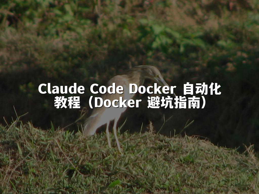 Claude Code Docker 自动化教程（Docker 避坑指南）