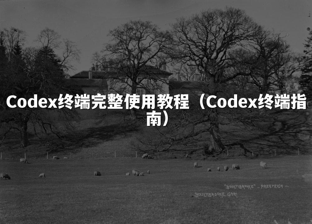 Codex终端完整使用教程(Codex终端指南)