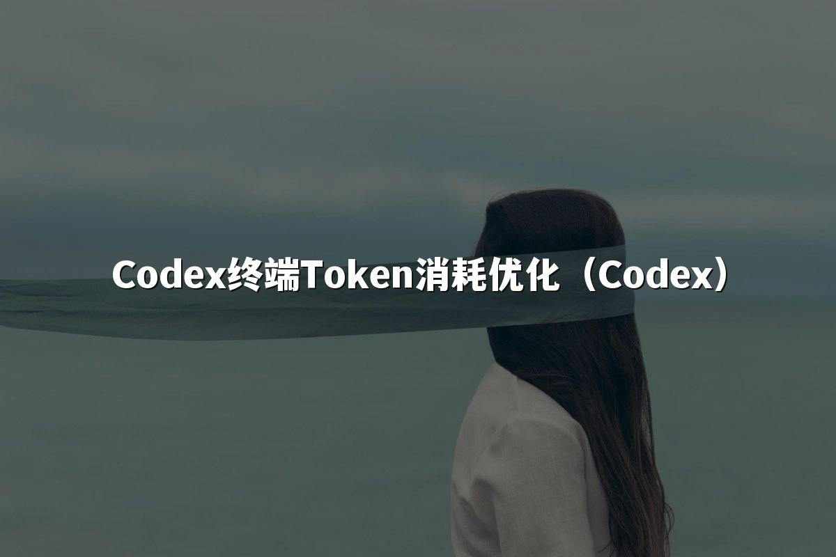 Codex终端Token消耗优化（Codex）