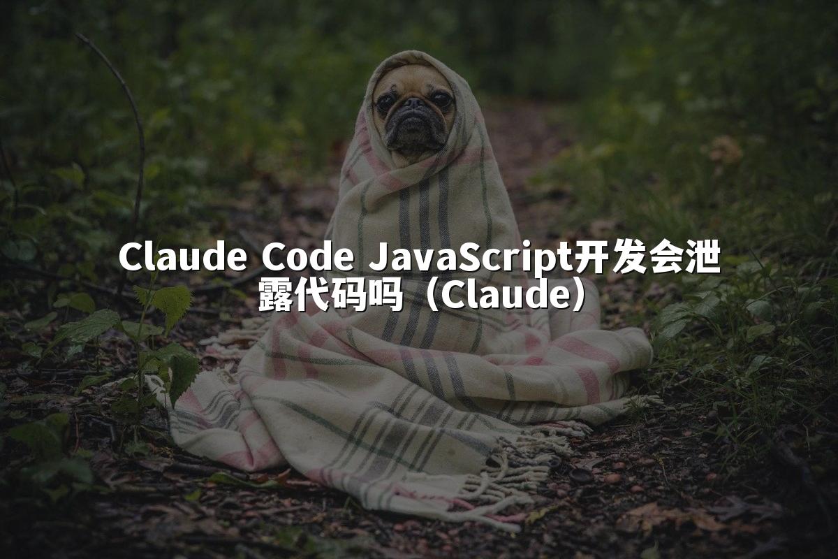 Claude Code JavaScript开发会泄露代码吗（Claude）