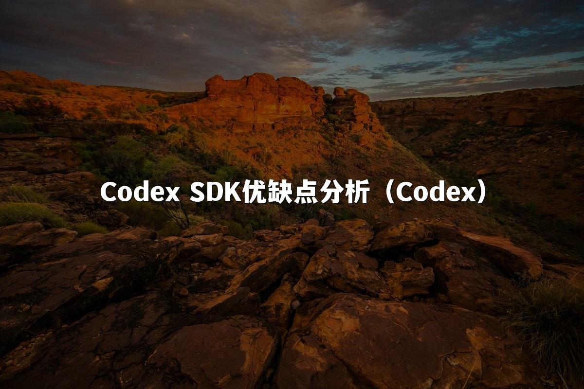 Codex SDK优缺点分析(Codex)