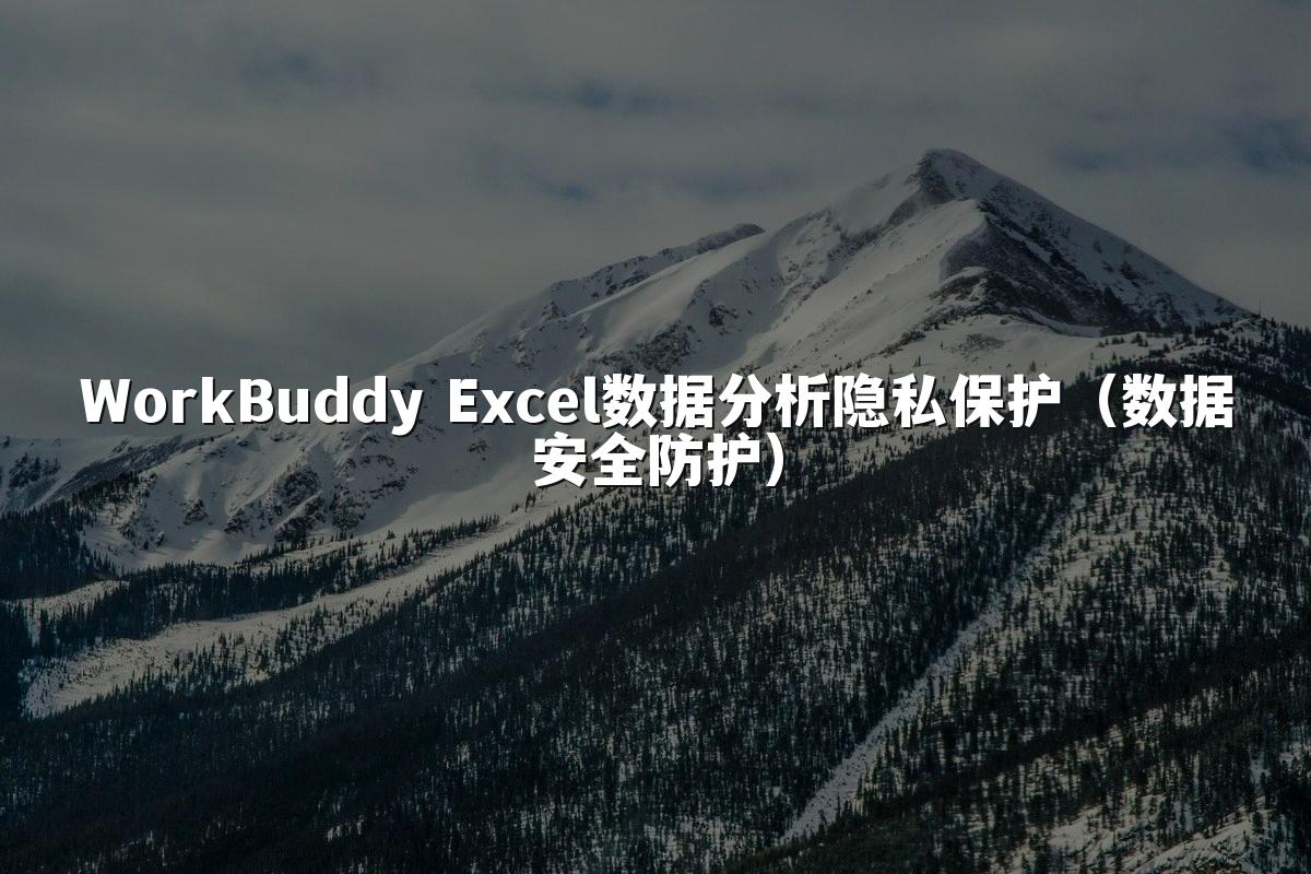 WorkBuddy Excel数据分析隐私保护（数据安全防护）