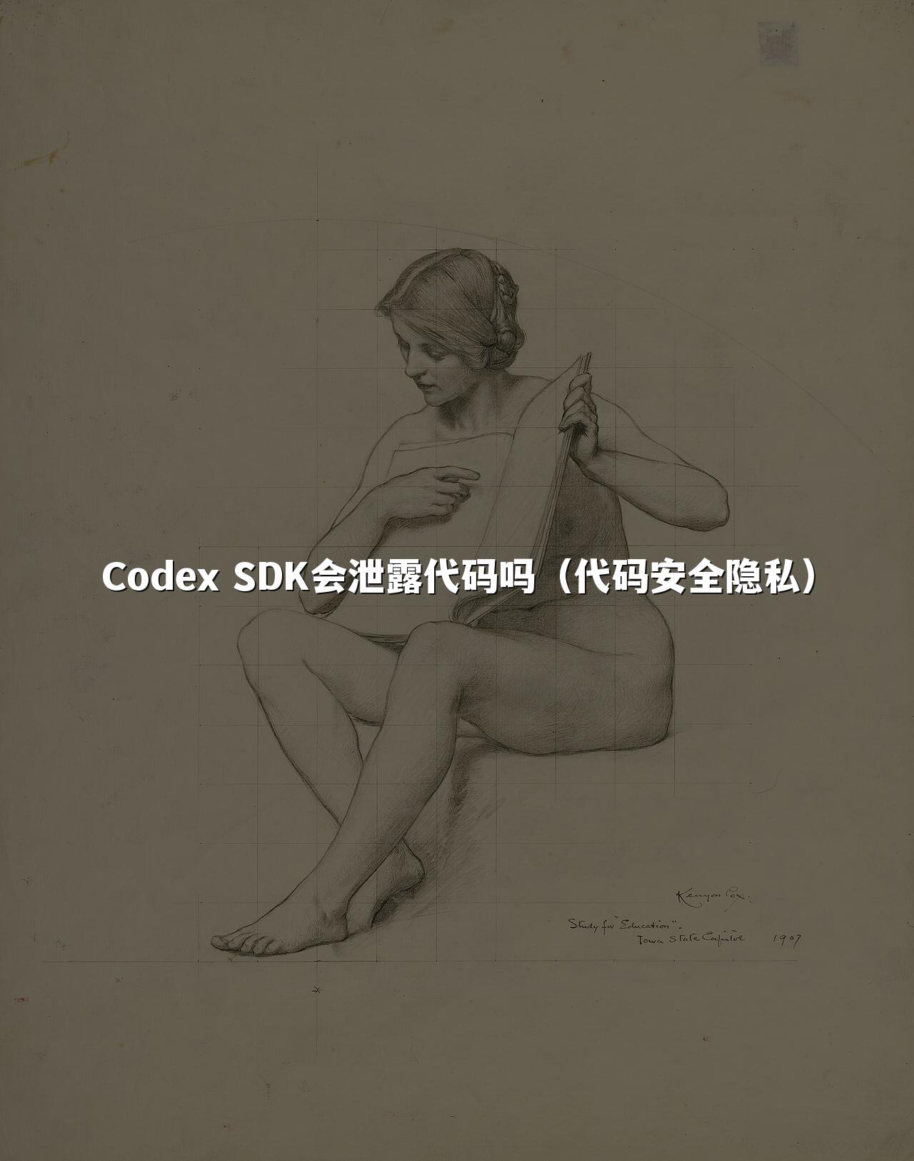 Codex SDK会泄露代码吗(代码安全隐私)