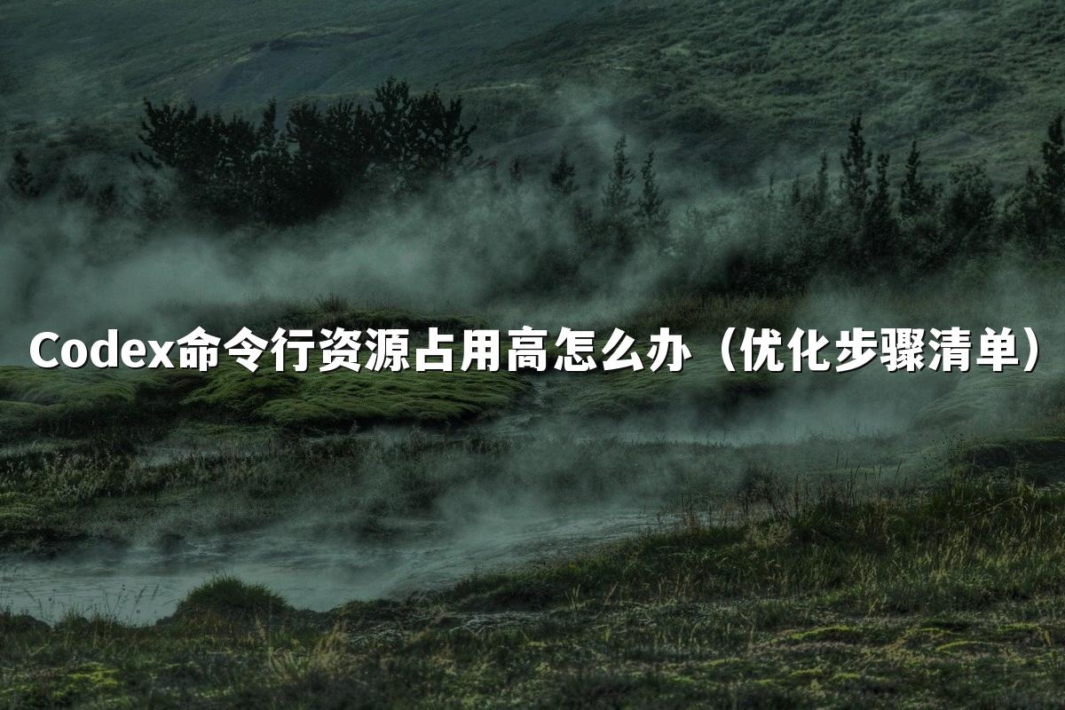 Codex命令行资源占用高怎么办（优化步骤清单）