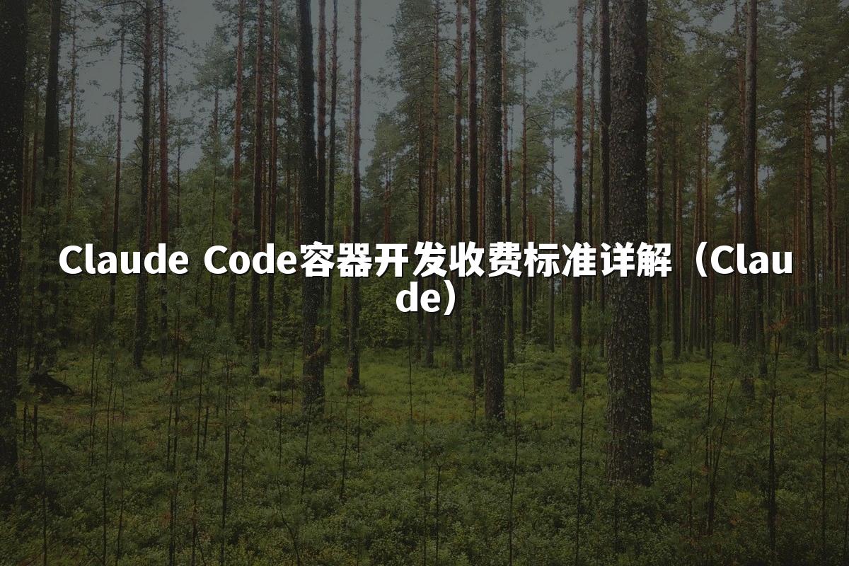 Claude Code容器开发收费标准详解(Claude)