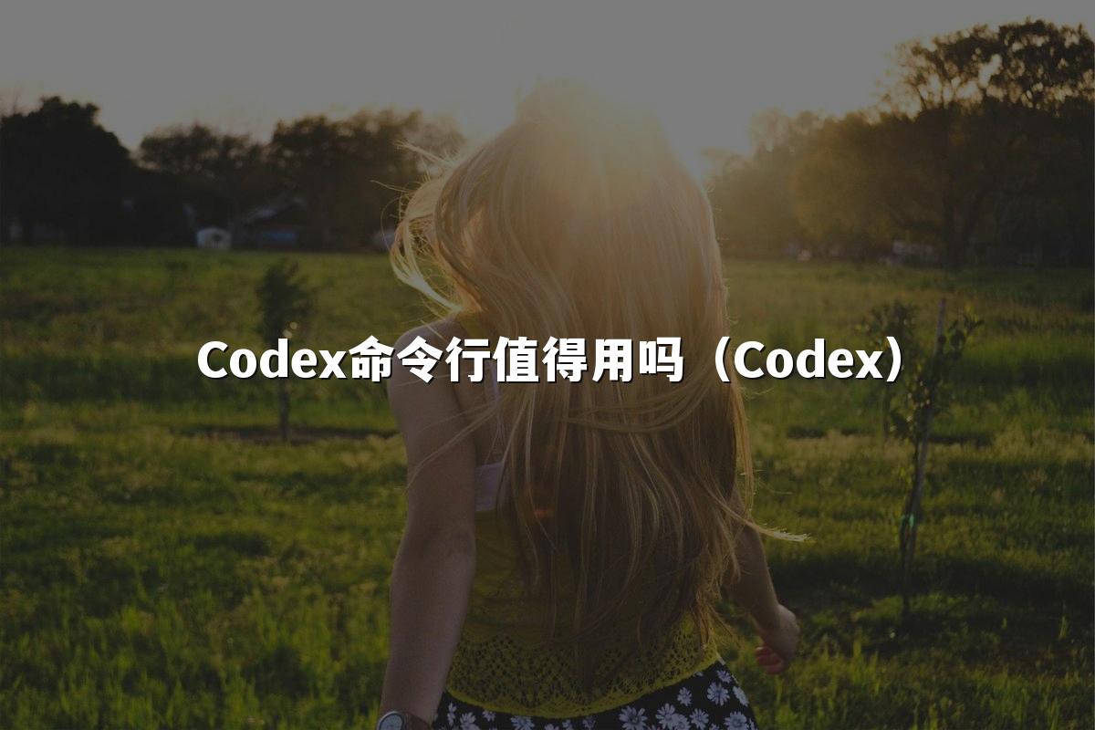 Codex命令行值得用吗(Codex)