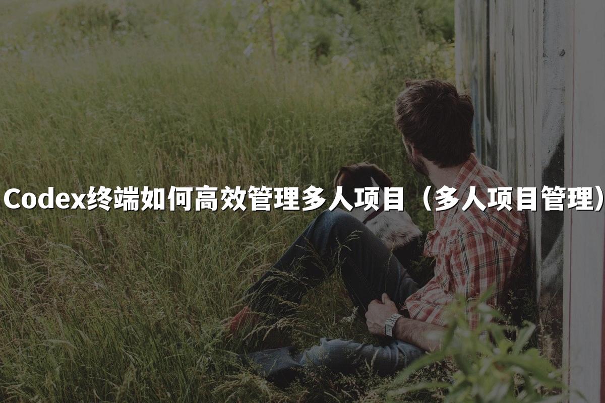 Codex终端如何高效管理多人项目（多人项目管理）