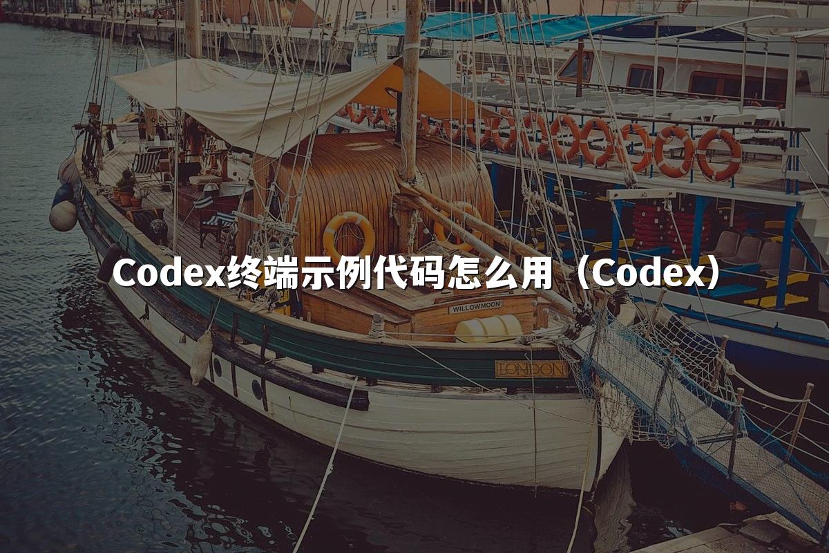 Codex终端示例代码怎么用(Codex)
