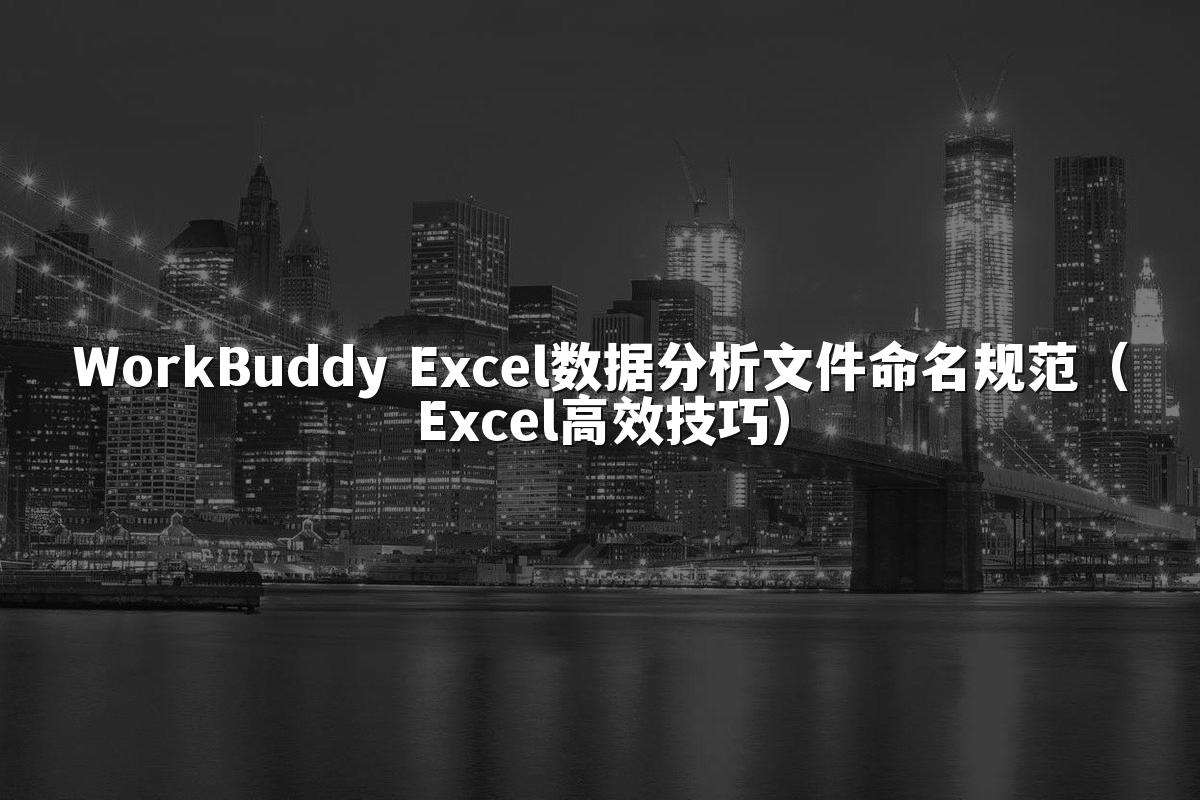 WorkBuddy Excel数据分析文件命名规范（Excel高效技巧）