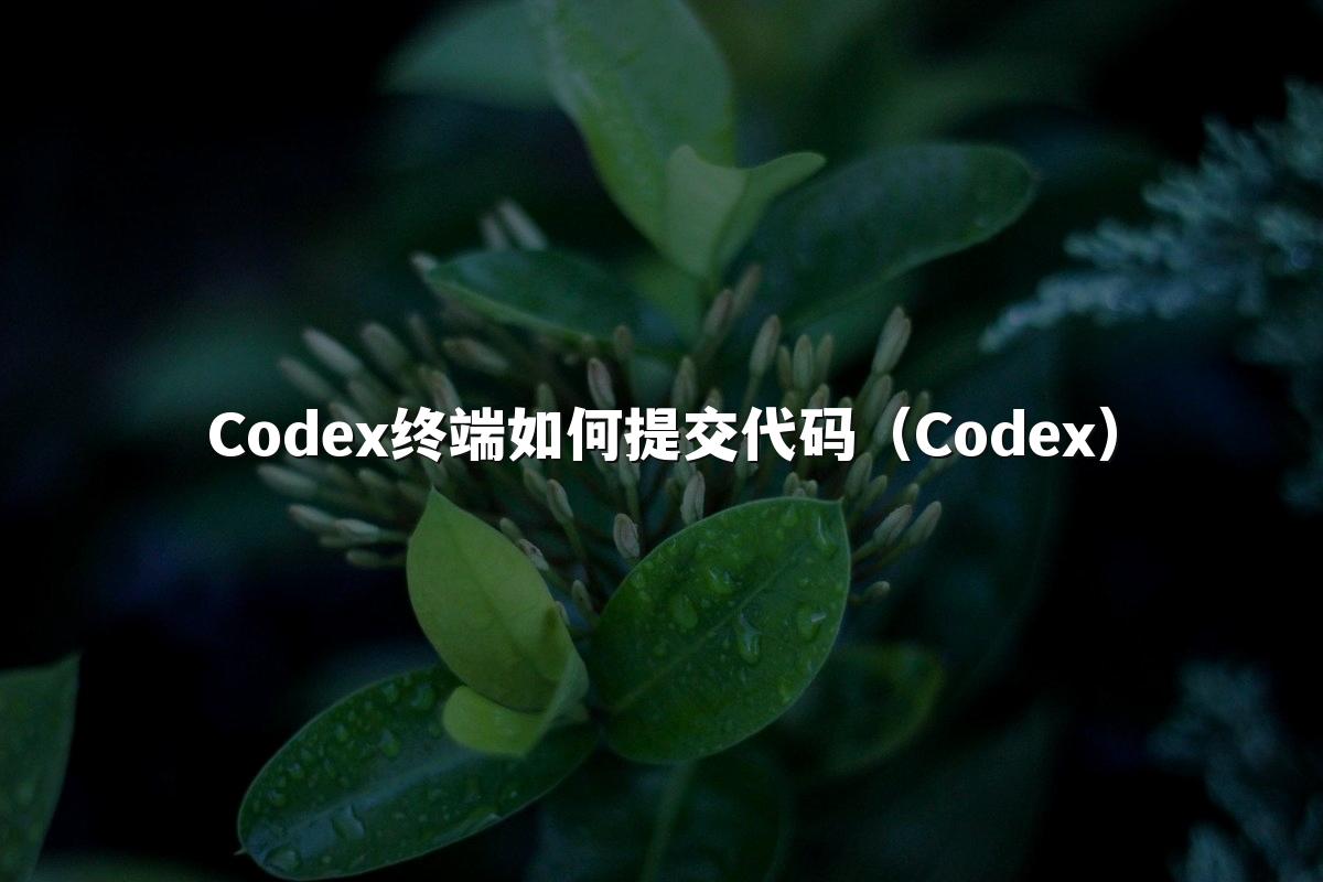 Codex终端如何提交代码（Codex）